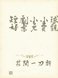 短剧小小球神不好惹免费观看