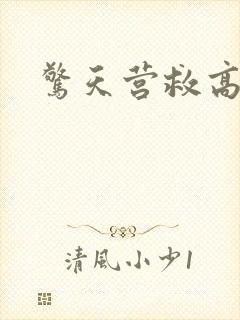 惊天营救高清