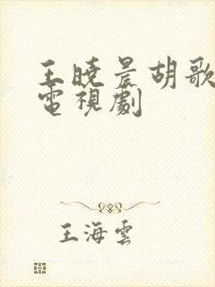 王晓晨胡歌演的电视剧