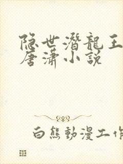隐世潜龙王东和唐潇小说