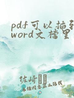 pdf可以插到word文档里吗
