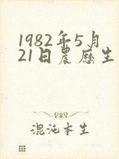 1982年5月21日农历生辰八字