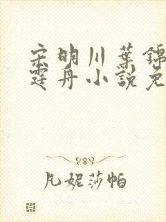 宋明川叶锦禾陆霆舟小说免费阅读