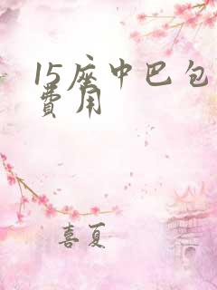 15座中巴包车费用