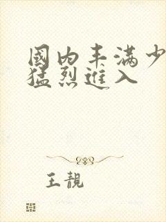 国内丰满少妇被猛烈进入