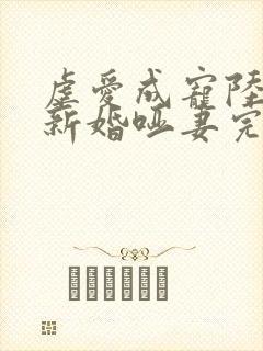 虐爱成宠陆总的新婚哑妻完整版