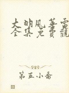 大明风华电视剧全集免费观看策驰影院