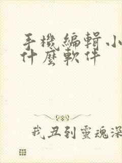 手机编辑小说用什么软件
