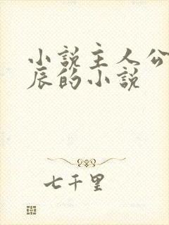 小说主人公叫林辰的小说