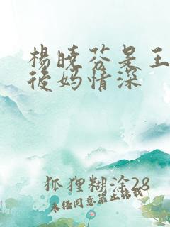 杨晓芬是王磊的后妈情深