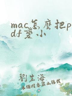 mac怎么把pdf变小