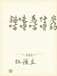 猫咪为什么发出咕噜咕噜的声音