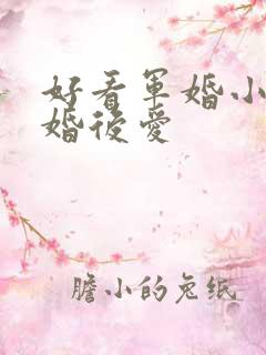 好看军婚小说先婚后爱