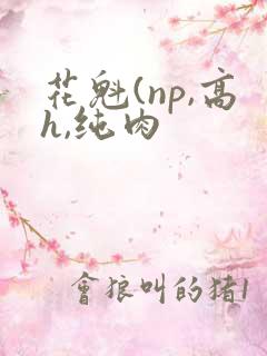 花魁(np,高h,纯肉