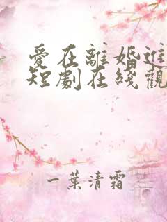 爱在离婚进行时短剧在线观看