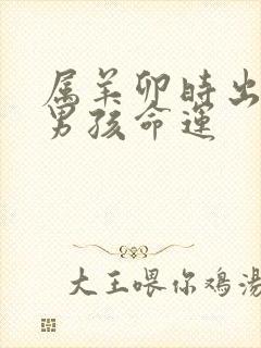 属羊卯时出生的男孩命运