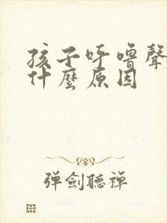 孩子呼噜声大是什么原因