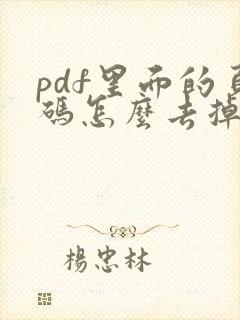 pdf里面的页码怎么去掉