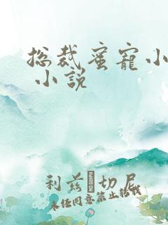 总裁蜜宠小甜妻 小说