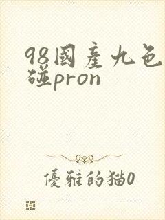98国产九色超碰pron