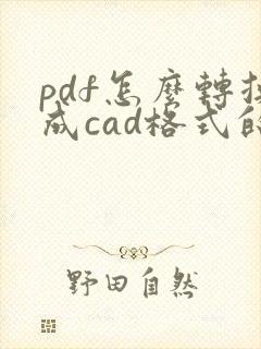 pdf怎么转换成cad格式的文件
