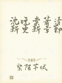 沈晚棠萧清渊最新更新章节笔趣阁