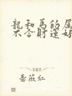 龙和马的属相合不合财运好呢