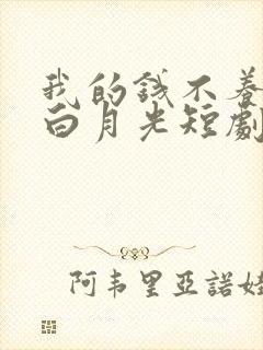我的钱不养你的白月光短剧集全