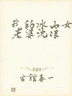 我的冰山女总裁老婆沈浪
