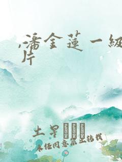 ,潘金莲一级乳片