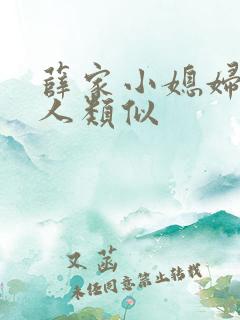薛家小媳妇笑佳人类似