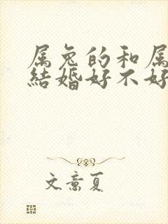 属兔的和属龙的结婚好不好