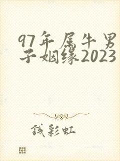 97年属牛男孩子姻缘2023