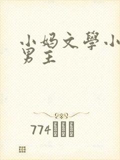 小妈文学小说双男主