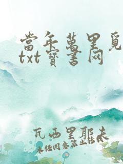 当年万里觅封侯txt宝书网