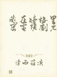藏在暗格里的秘密电视剧免费观看