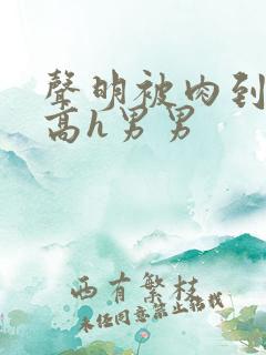 声明被肉到失禁高h男男