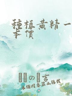 种植黄精一亩成本价