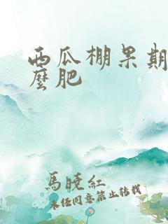 西瓜棚果期施什么肥