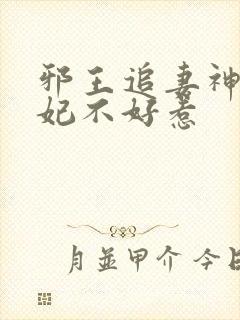 邪王追妻神医狂妃不好惹