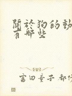 关于狗的动画片有哪些