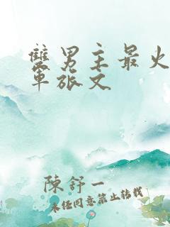 双男主最火十大军旅文