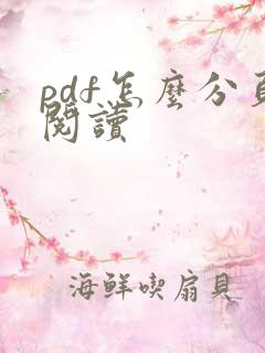 pdf怎么分页阅读