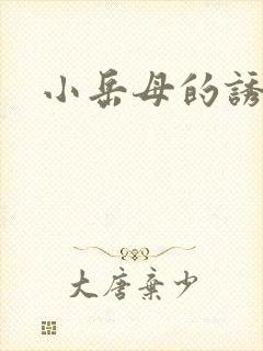 小岳母的诱惑