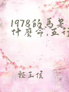1978的马是什么命,五行属性