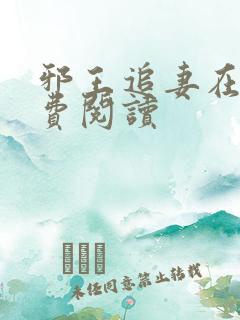 邪王追妻在线免费阅读