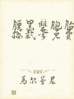 腹黑双胞胎抢个总裁爹免费阅读