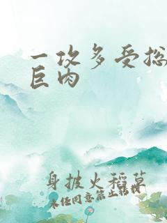 一攻多受总攻文巨肉