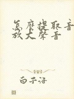 怎么提取音频并放大声音