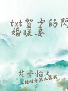txt贺少的闪婚暖妻